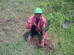Penanaman Bibit oleh masyarakat