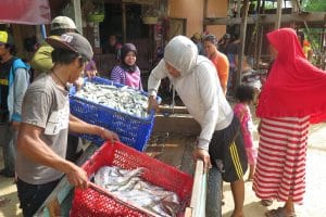 Ikan hasil tangkapan yang menjadi bahan baku makanan olahan