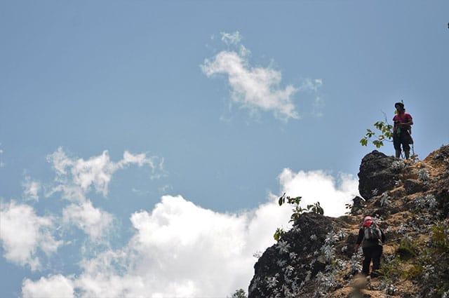 jalur-pendakian-leuser