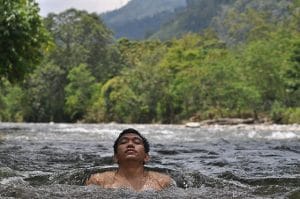 Eksotisme Gayo, Agussen dan Rimba Raya Eksotisme Gayo, Agussen dan Rimba Raya