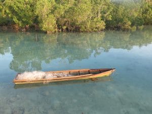 Pengembangan Ekowisata melalui Pembangunan Pusat Informasi Mangrove (PIM) di Desa Tanjung Batu