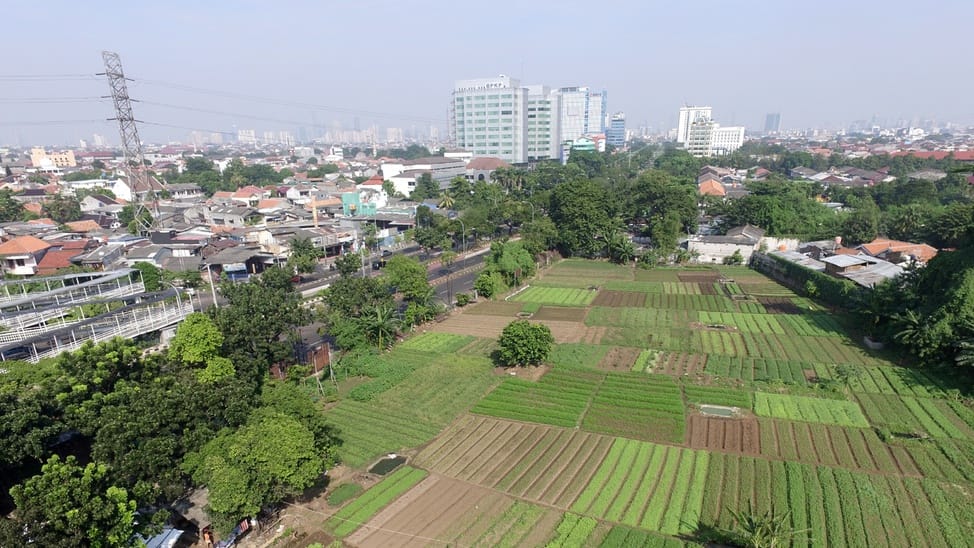 deagrarisasi lahan
