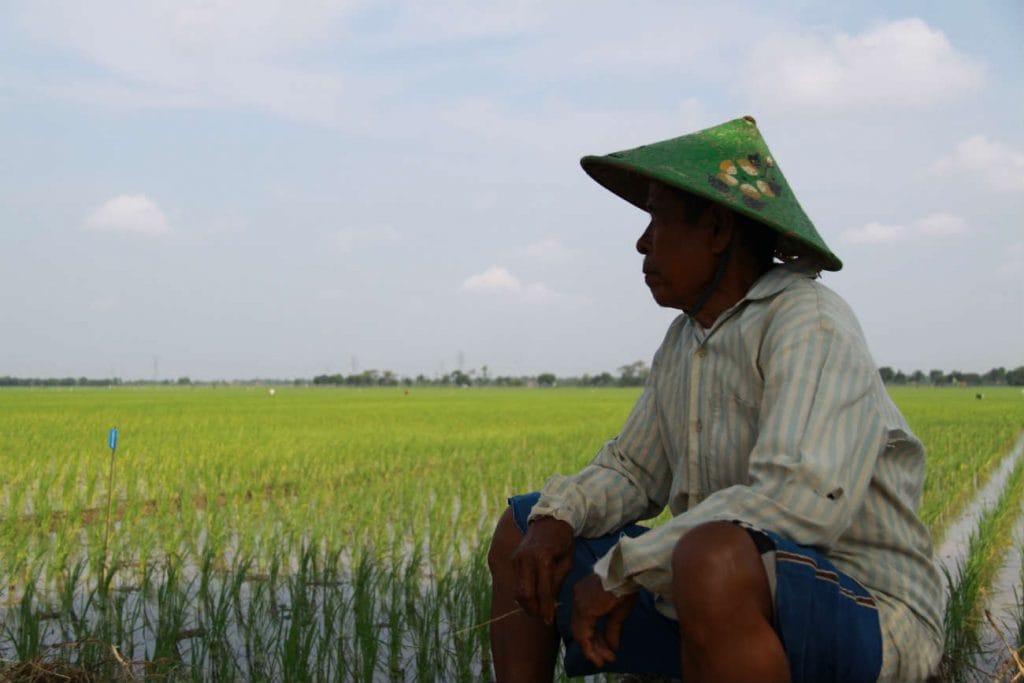 lahan yang semakin terbatas
