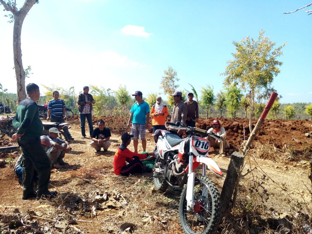 penjarangan