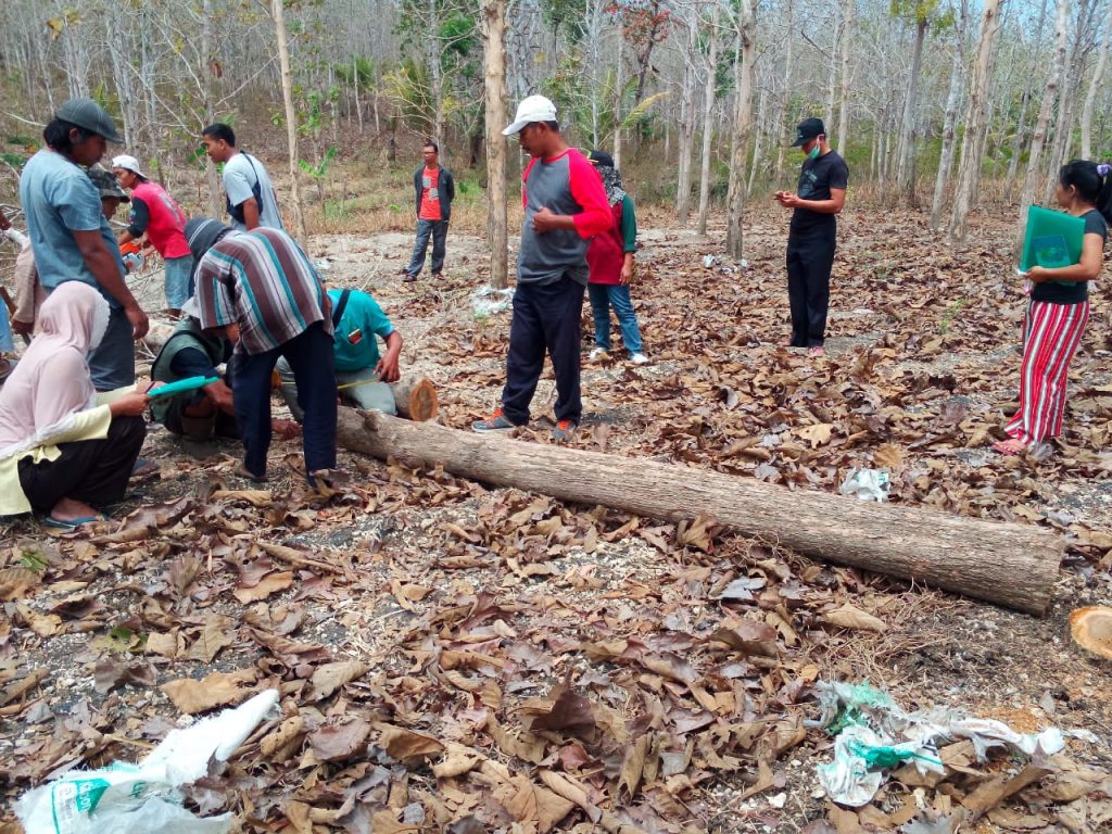 pengukuran kayu