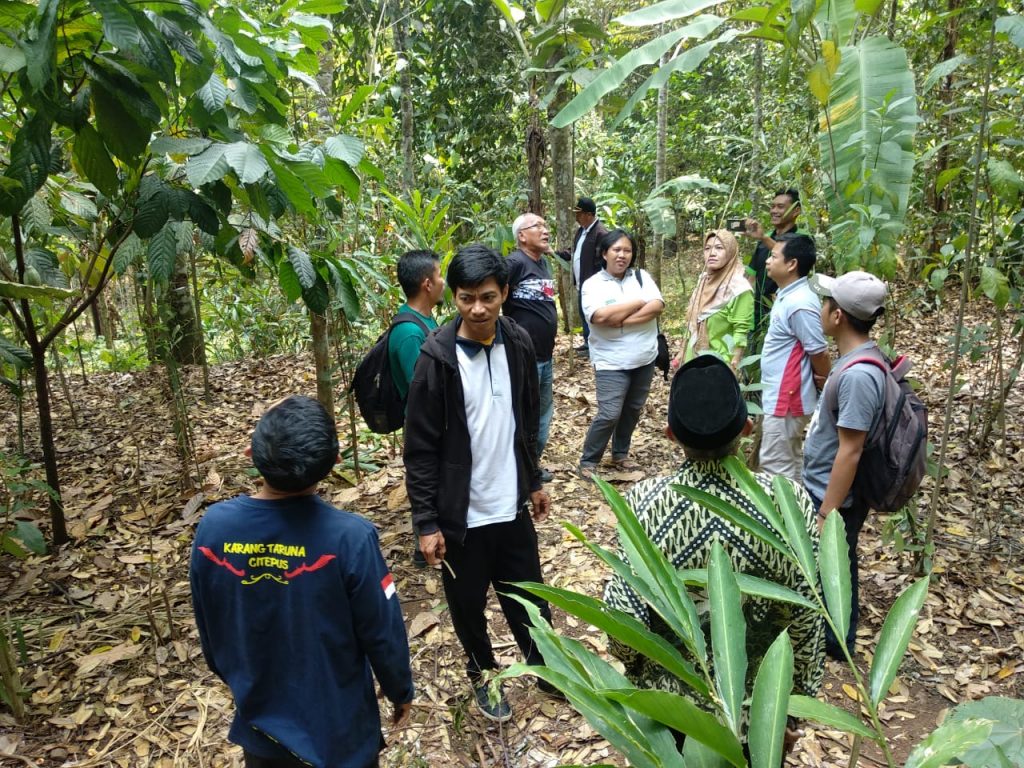 tanaman hutan