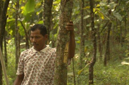 Hutan Itu Kini disebut Plong-plongan Hutan Itu Kini disebut Plong-plongan