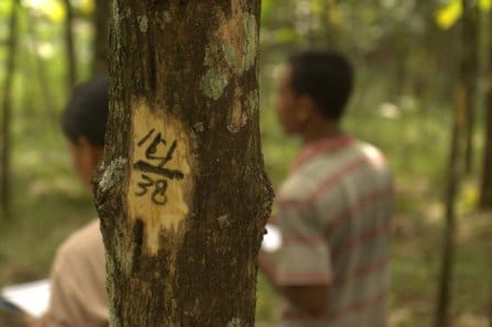 Pelatihan Inventarisasi di Hutan Sambeng