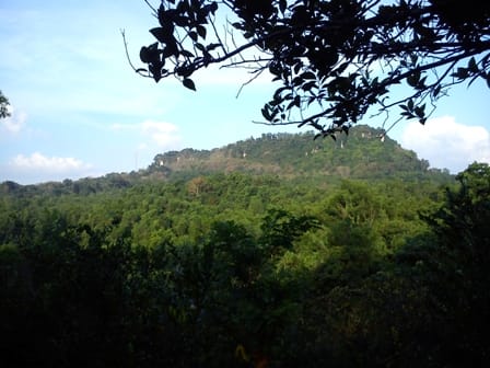 Ketidakberdayaan dan Sengketa Hutan Negara