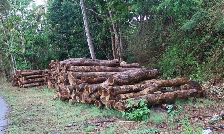 Hutan Rakyat  dan Label Sertifikasi
