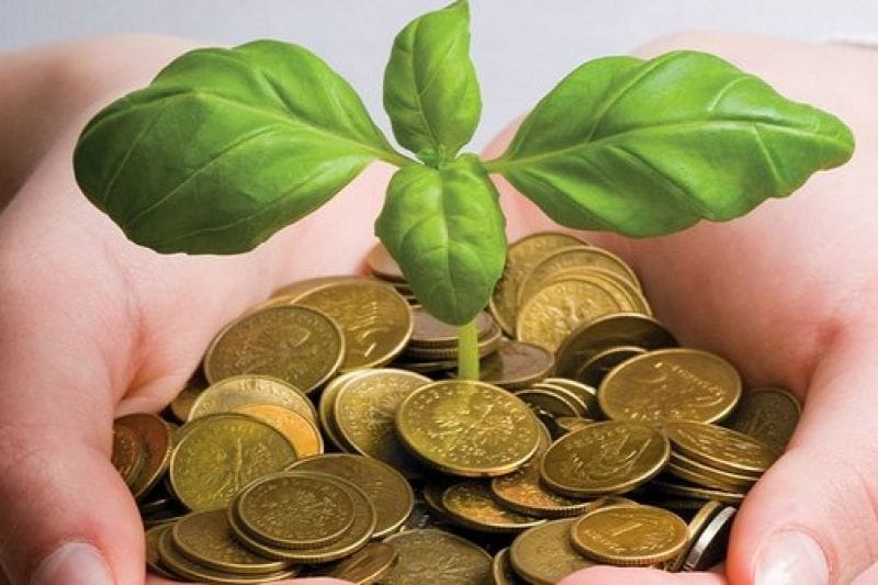Investasi Desa Berbasis Hijau
