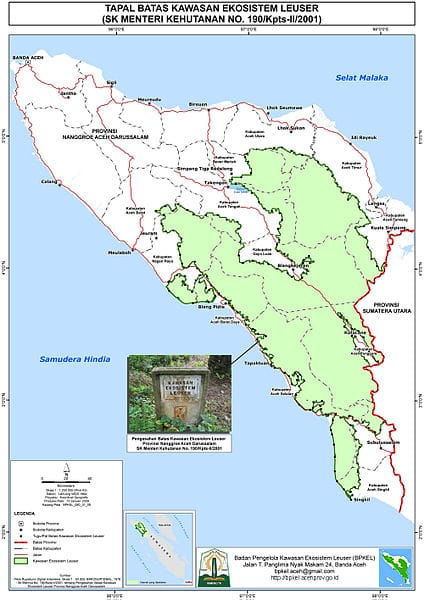 Pelestarian Kawasan Leuser Kembali Disuarakan