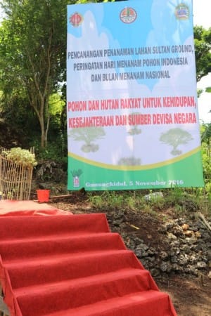 Beringin Putih Untuk Gerakan Menanam Nasional