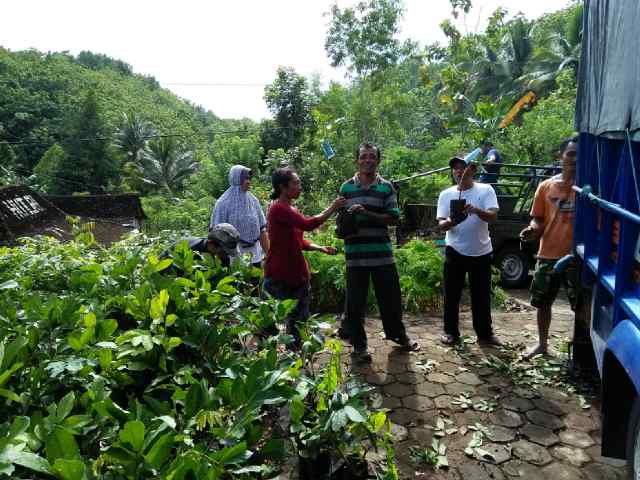 Aksi Mitigasi Perubahan Iklim, Yayasan Javlec Indonesia Menanam 66.800 Bibit