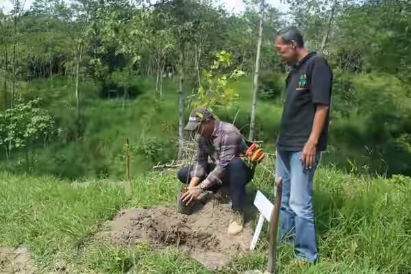 TIV dan Javlec Hijaukan Lahan Bekas Galian C