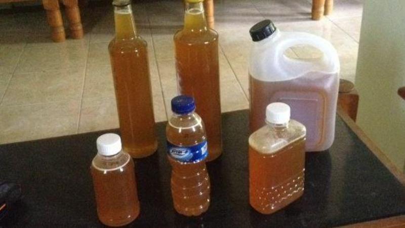 Selamat Datang di Kampung Madu