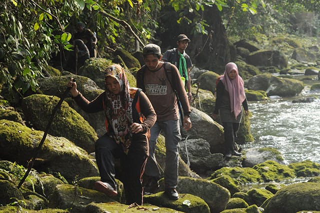Perhutanan Sosial Menuju Masyarakat Gayo Lues Sejahtera dan Hutan Lestari