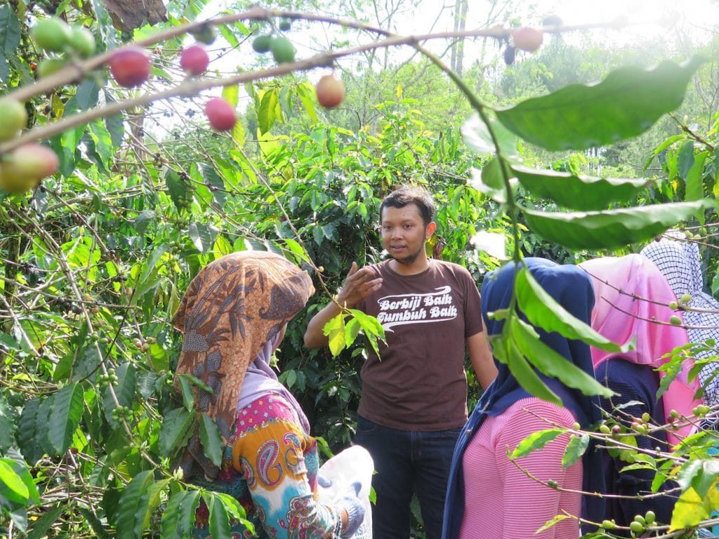 Pelatihan Kopi sebagai Awal Pengembangan Bisnis Komunitas