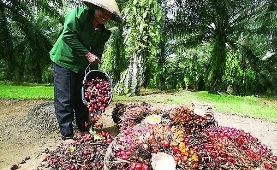 Apa itu Jangka Benah