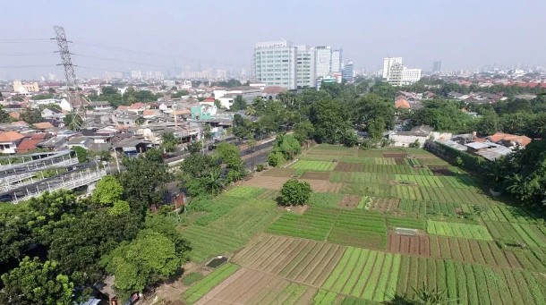 Deagrarianisasi Perdesaan Terjadi Karena Lahan yang Semakin Sempit