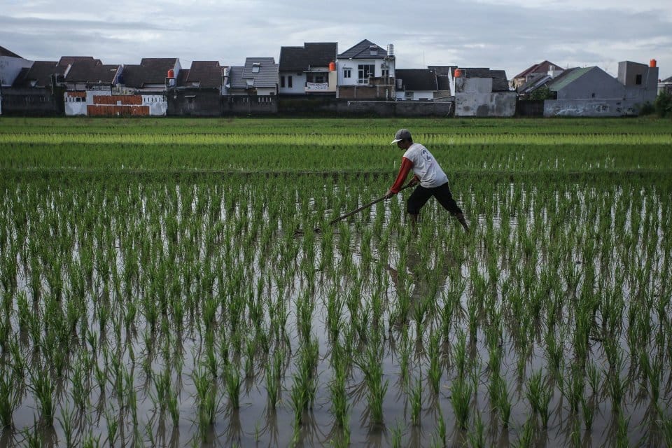 Keterbatasan Akses Lahan, Problem Kesejahteraan Masyarakat Perdesaan