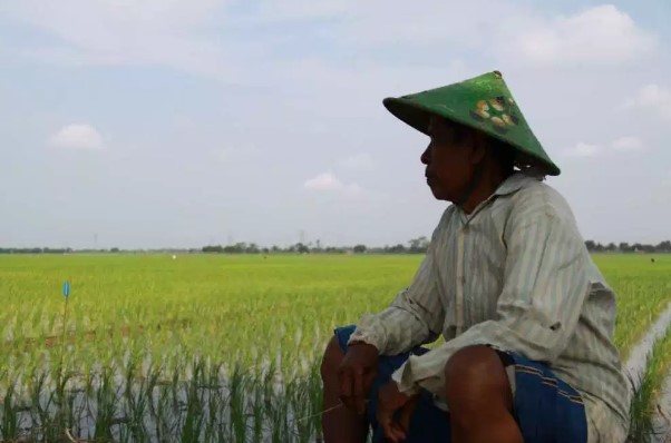 Lahan Terbatas, Kemiskinan Makin Meningkat