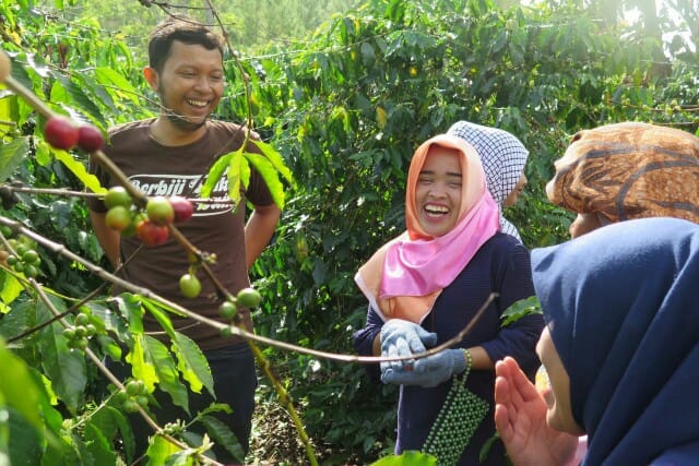 Film Dokumentasi : Pengelolaan Hutan Kalaboratif Berbasis Potensi Lokal di Gayo, Aceh