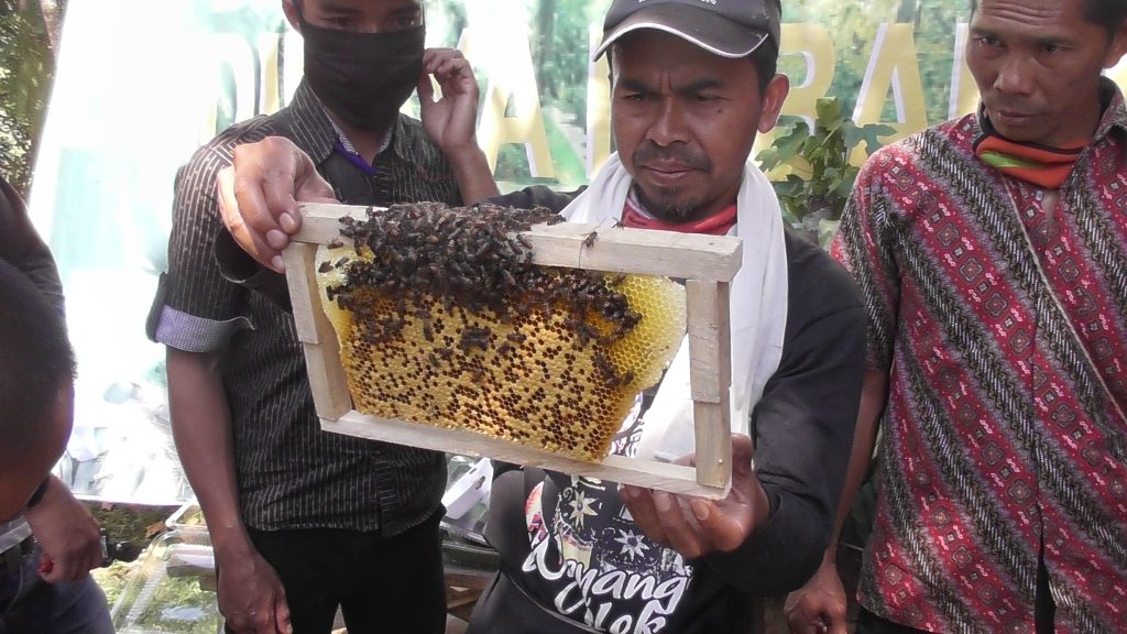 Javlec bersama PT. TIV adakan Pelatihan Ternak Lebah Madu