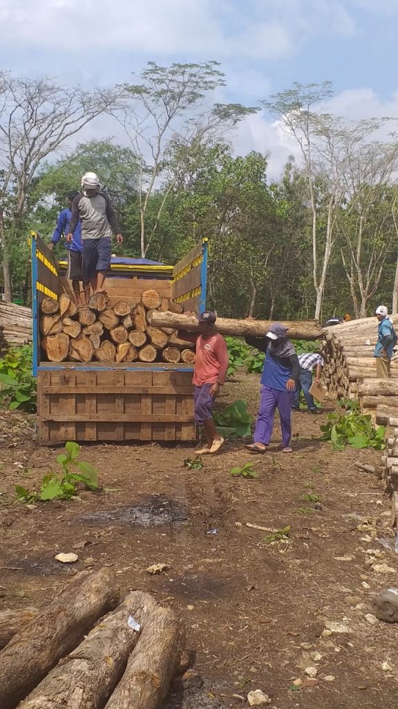 Off-Taker Kayu HKm, PT.IBI Hadir Sebagai Interface Business