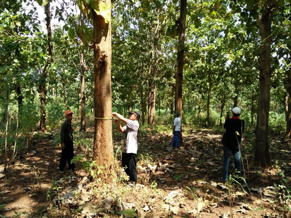 Panen Kayu HKm Handayani, Bentuk Pembuktian bagi Anggota Kelompok