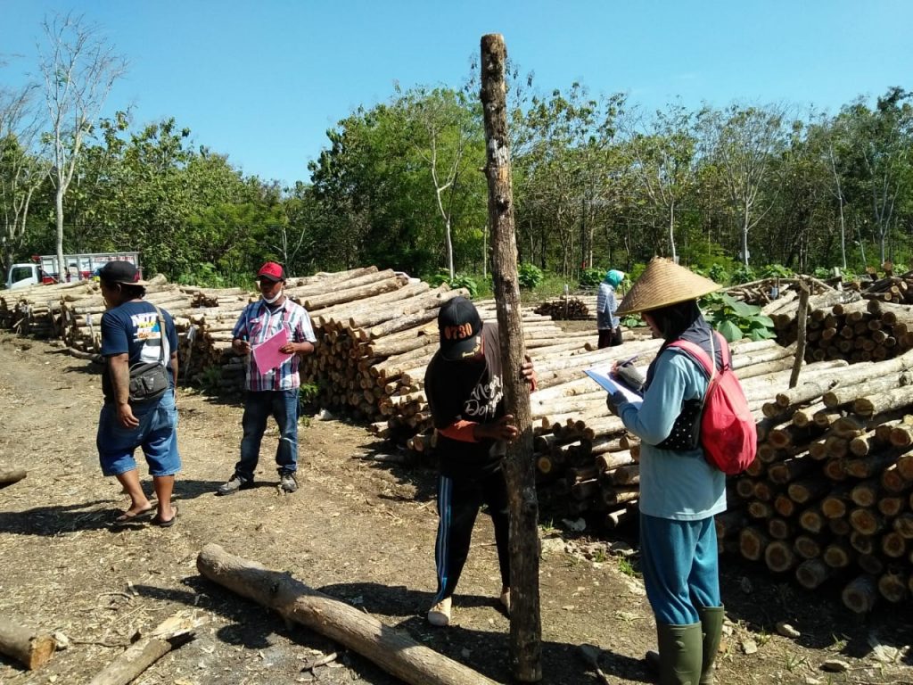 Bu Sukani, Juru Tulis di TPK HKm Sedyolestari